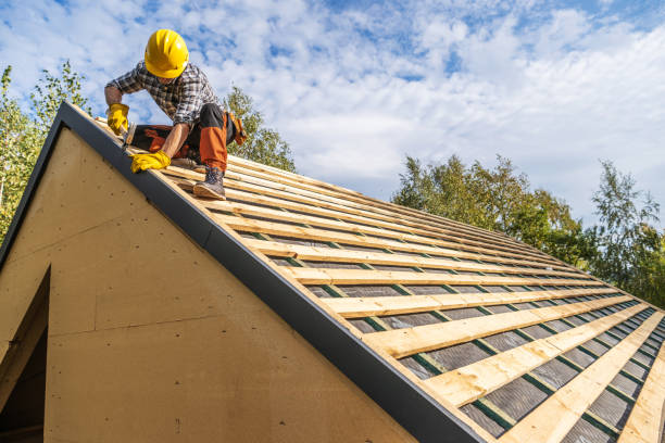 Best Metal Roofing Contractor  in North Sarasota, FL