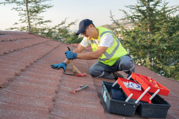 Best Roof Gutter Cleaning  in North Sarasota, FL