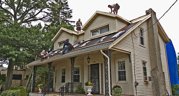 Best Gutter Installation and Roofing  in North Sarasota, FL